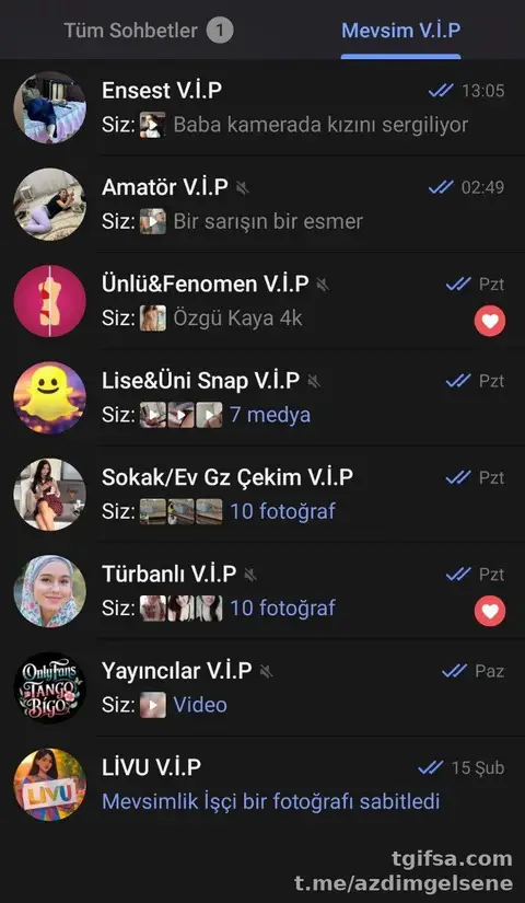 Gizli Çekim İfşa Dosyası #22120: Telegram Arşivine Yeni Ekleme