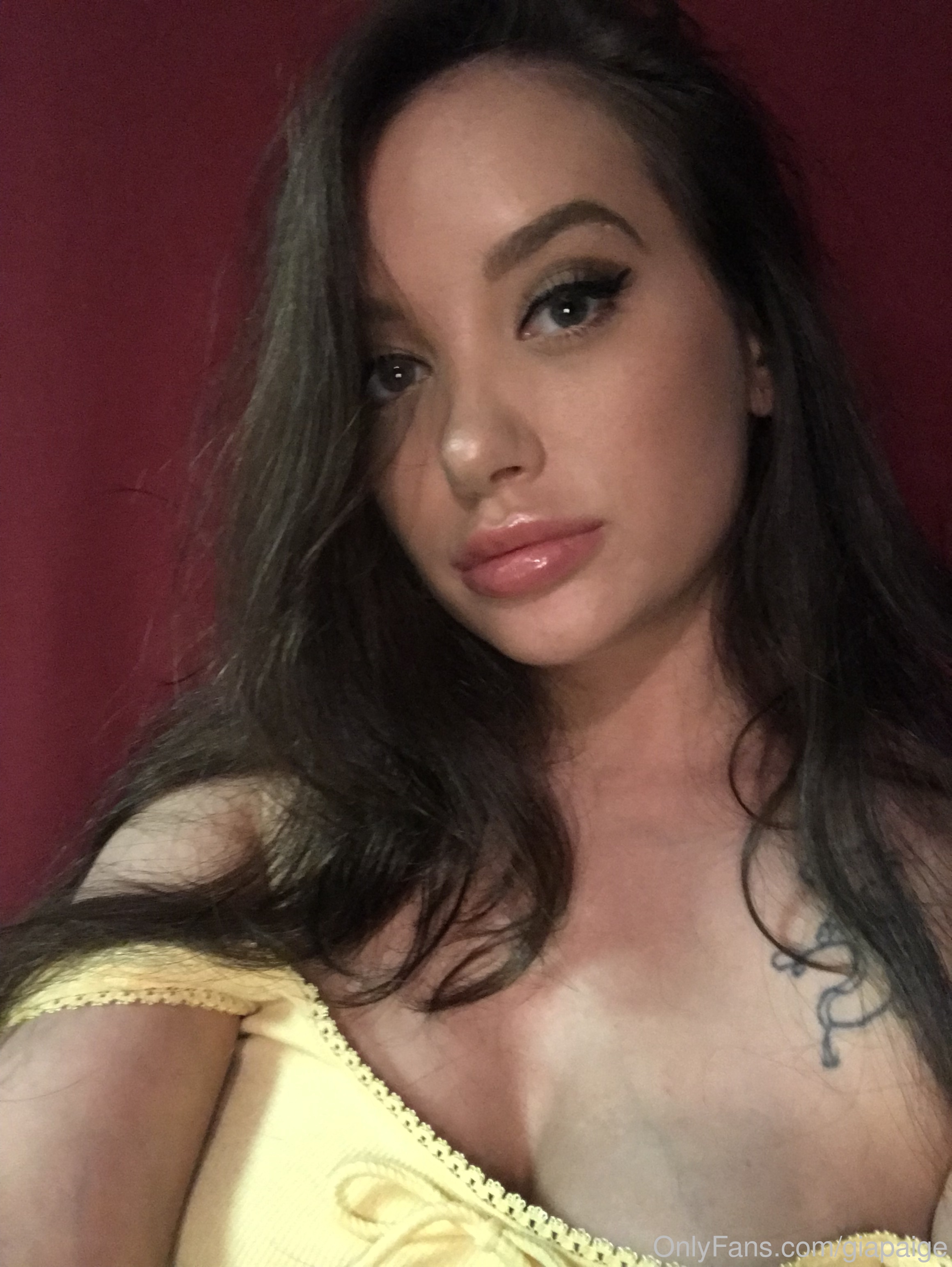 Gia Paige İfşa Serisi Bölüm #53948 – Telegram Arşiv Kopyası