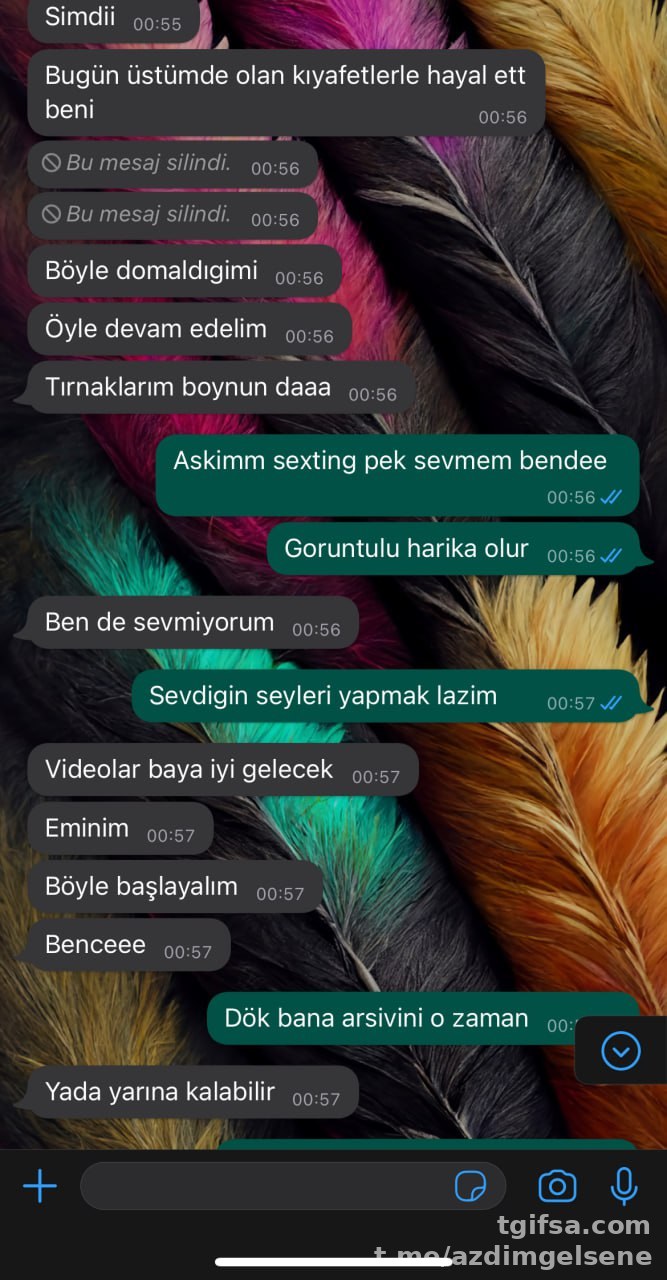 Amatör İfşa Arşivi #19130 – Sansürsüz Telegram Kaydı