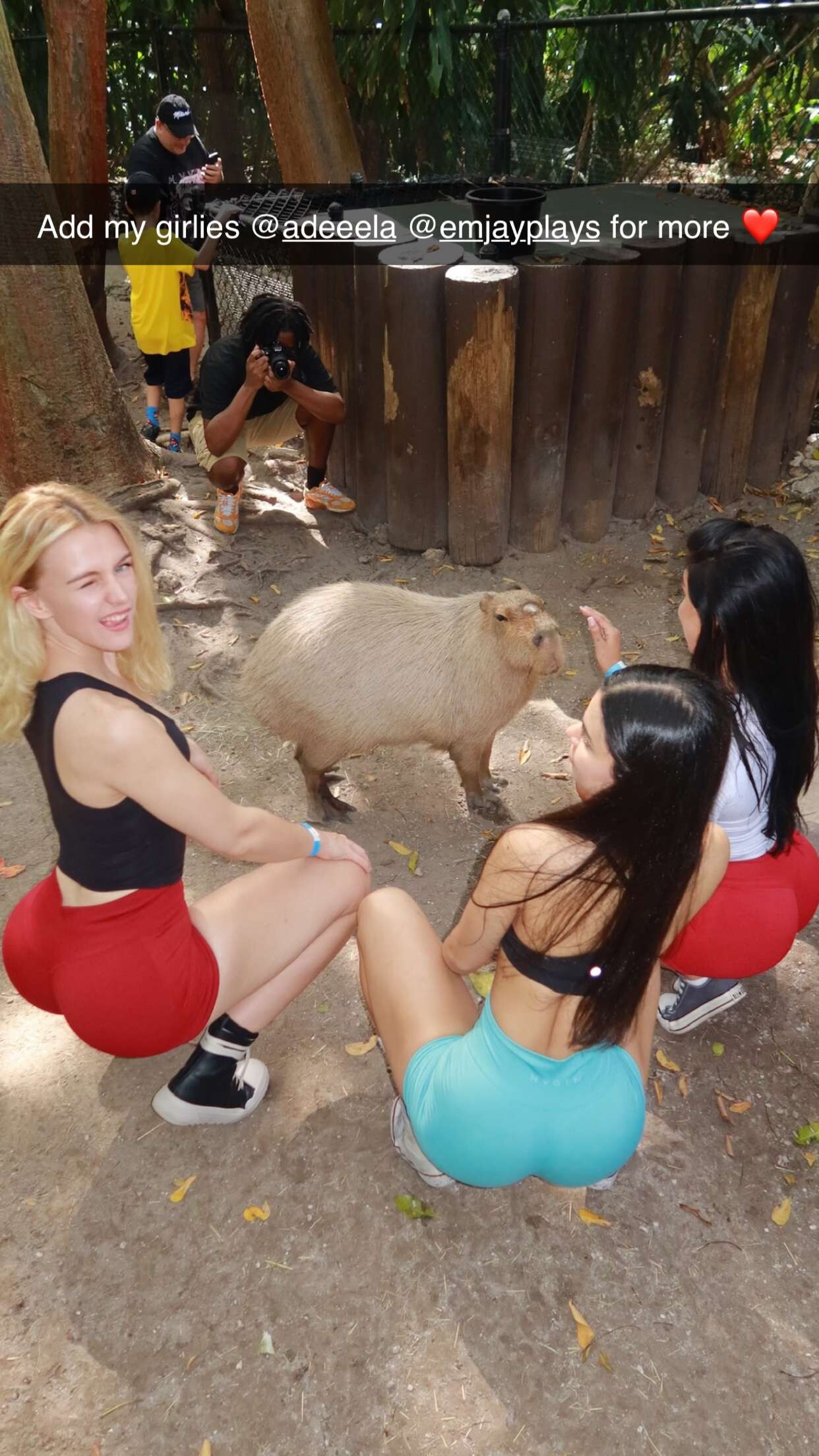 OnlyFans Amatör İfşa #26000 – Telegram Gizli Arşivinden