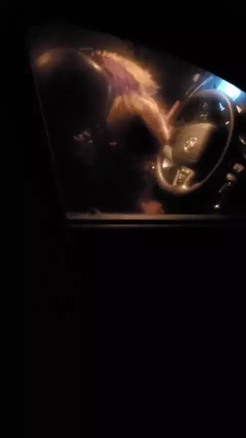 Türk Amatör Gizli Çekim İfşa Videosu İzle