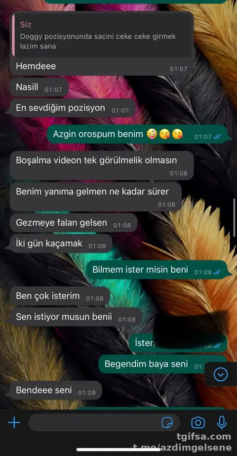 Amatör İfşa Videosu – Telegram Arşivinden Yeni Çıktı #19128